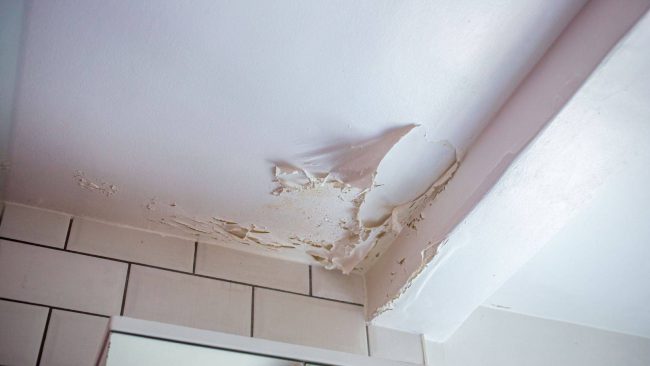 Struggling with peeling bathroom paint