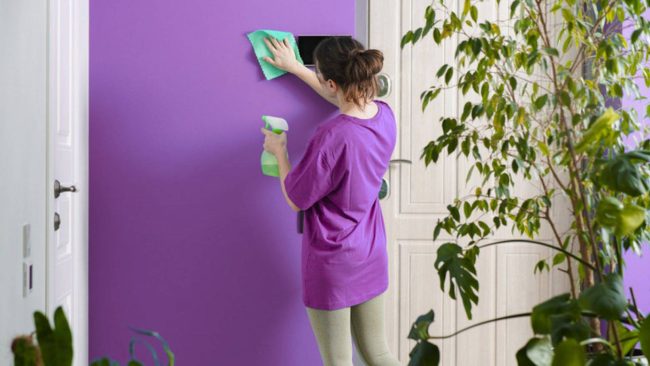 Step-by-step guide to cleaning painted surfaces without damage – Speese Painting